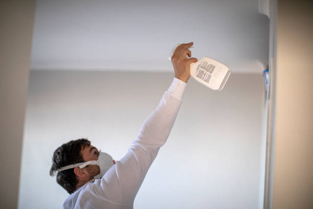 Best Mold Damage Repair  in Silver Springs, FL