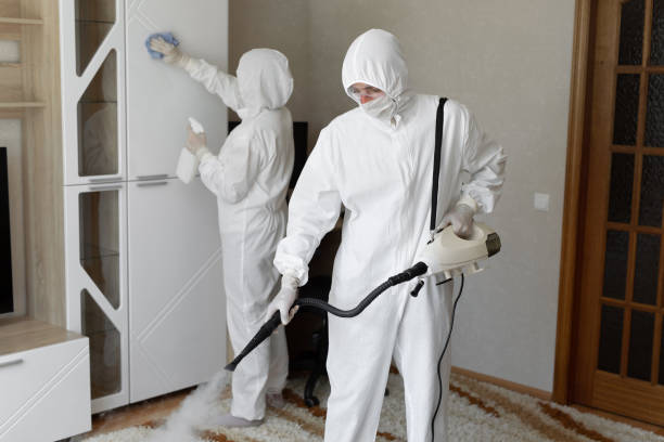 Best Attic Mold Removal  in Silver Springs, FL